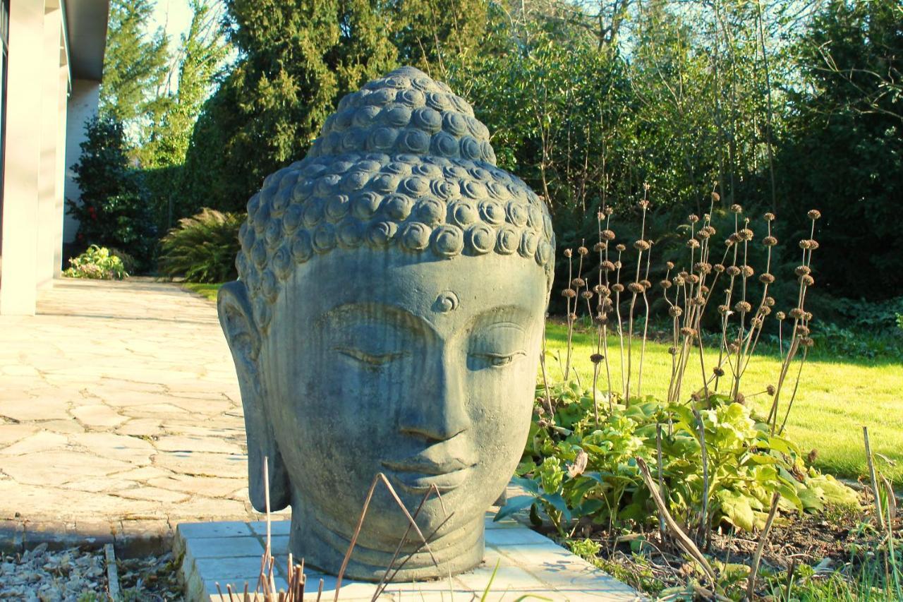Villa Pura Vida Kortrijk Eksteriør bilde